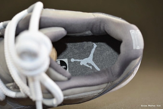 528895-003 Cool Jordan Low Grey Air 11 0812